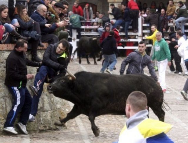 Ισπανία: Το έσκασε ταύρος και τραυμάτισε 10 ανθρώπους κι ένα παιδί!