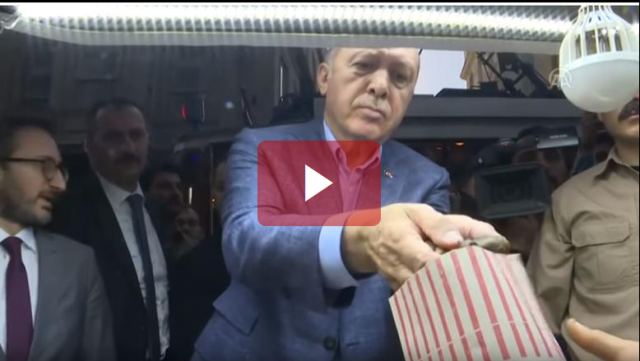 Το άγριο βλέμμα του Ερντογάν σε καστανά στην Κωνσταντινούπολη [Βίντεο]