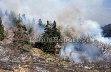Πέντε πυρκαγιές μέσα σε λίγες ώρες στη Φθιώτιδα