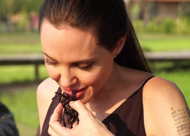 Angelina Jolie: Μαγειρεύει και τρώει με τα παιδιά της αράχνες και έντομα στην Καμπότζη! [vid]