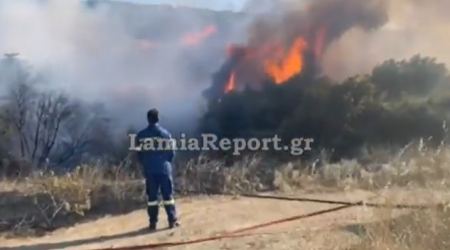 Έκτακτο: Συναγερμός για πυρκαγιά στη νότια Λαμία