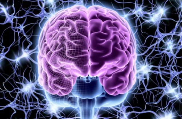 Ερευνητές βρήκαν τον διακόπτη on/off στον εγκέφαλο για την ανθρώπινη συνείδηση