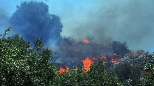 Πυρκαγιά σε δασική έκταση στην Ξάνθη