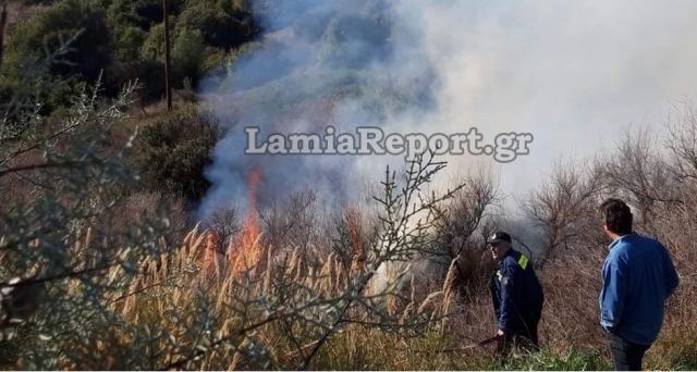 Φθιώτιδας: Πυρκαγιές σε Αχλάδι και Μαλεσίνα - ΦΩΤΟ