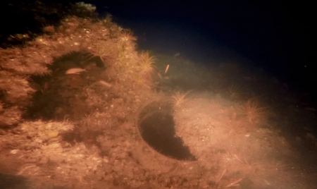 Δύτες βρήκαν «ατόφιο» σε βάθος 98 μέτρων στον Θερμαϊκό, Γαλλικό υποβρύχιο από τον Α’ ΠΠ