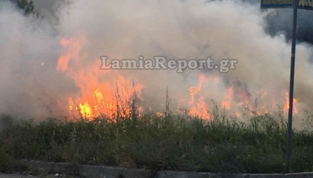 Φθιώτιδα: Συναγερμός για πυρκαγιά μέσα στα σπίτια στο Καινούργιο
