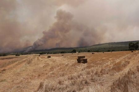 Λέκκας: Οι δασικές πυρκαγιές πυροδοτούν την κλιματική κρίση