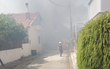 Φωτιά στη Μαγνησία: Μήνυμα από το 112 για εκκένωση του οικισμού Άσπρες Πεταλούδες