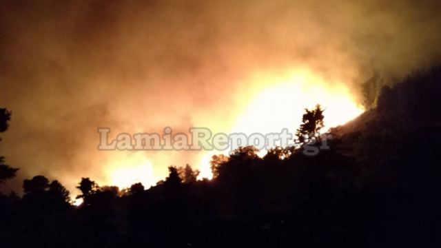 Κατακαίει ελατοδάσος η μεγάλη πυρκαγιά στην Εύβοια (ΒΙΝΤΕΟ - ΦΩΤΟ)