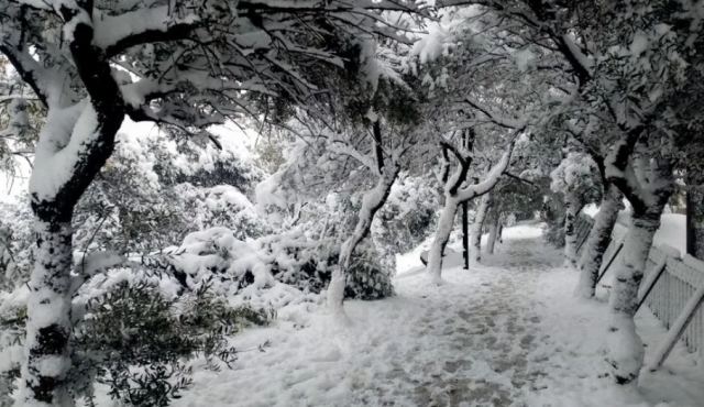Έπεσαν τα πρώτα χιόνια της χρονιάς στα χιονοδρομικά κέντρα της Βόρειας Ελλάδας