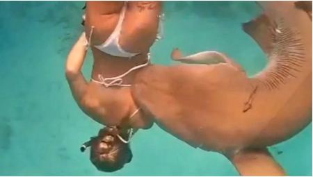 Μαλδίβες; Καρχαρίας 100 κιλών δάγκωσε κολυμβήτρια - Δείτε βίντεο