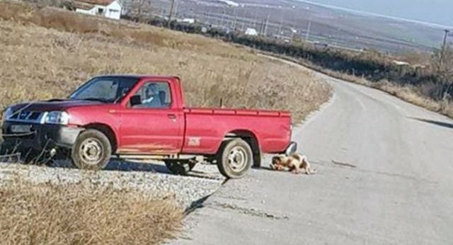 Περνάει αυτόφωρο ο 75χρονος που έσερνε το σκύλο του με το αγροτικό