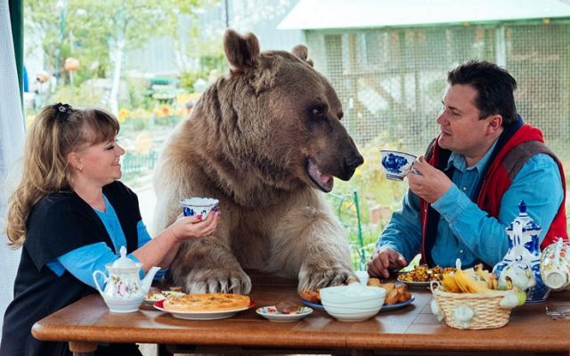 Ζευγάρι ζει εδώ και 23 χρόνια με μια αρκούδα!