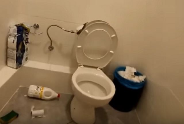Η τουαλέτα στο πρακτορείο του ΟΠΑΠ έκρυβε αυτές τις εικόνες - Μπήκαν και έπαθαν σοκ με το φίδι [pic, vid]
