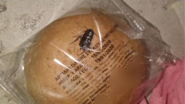 Χαμός σε Δημοτικό με κατσαρίδα σε ψωμί - Τι καταγγέλλει μητέρα