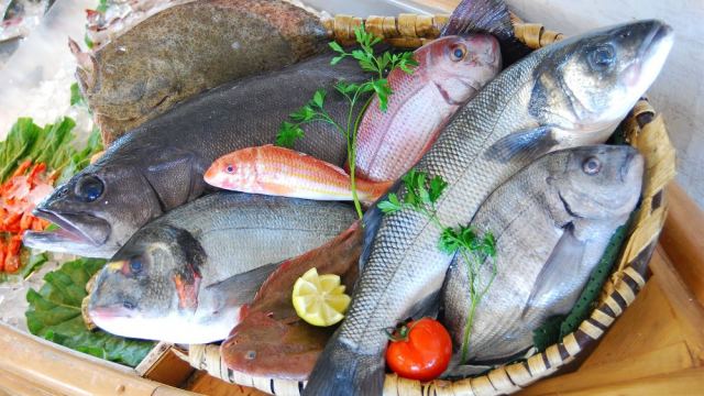 Λαμία: Τα πιο φρέσκα ψάρια τώρα delivery στο χώρο σου από το νέο ιχθυοπωλείο της πόλης!