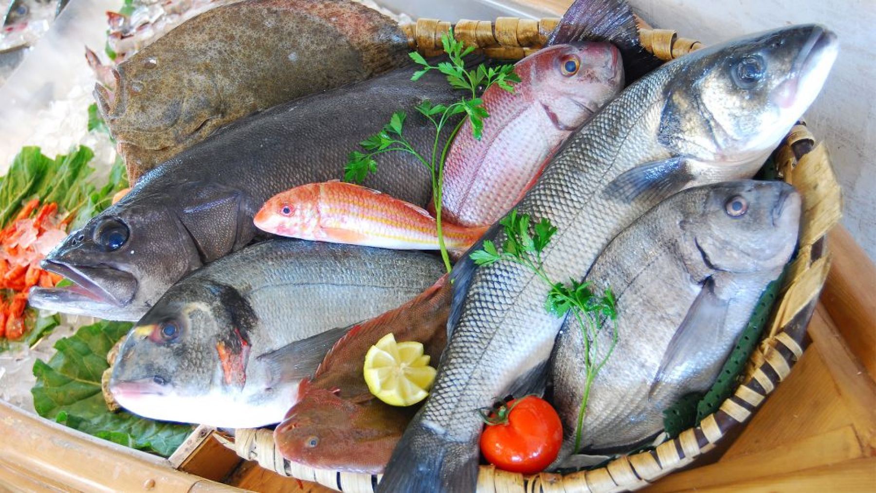 Λαμία: Τα πιο φρέσκα ψάρια τώρα delivery στο χώρο σου από το νέο ιχθυοπωλείο της πόλης!