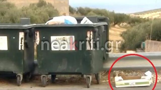 Σοκ: Πολτοποίησαν κουταβάκια και τα πέταξαν στα σκουπίδια