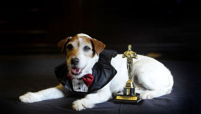 Πέθανε ο Αγκι, ο πιο διάσημος σκύλος του Χόλιγουντ!