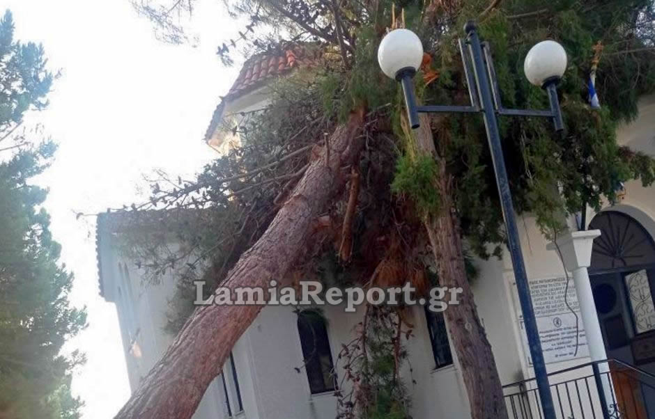 Φθιώτιδα: Το μπουρίνι έριξε δέντρο σε εκκλησάκι