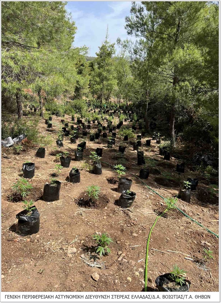 FOTO 2 | Lamianow.gr