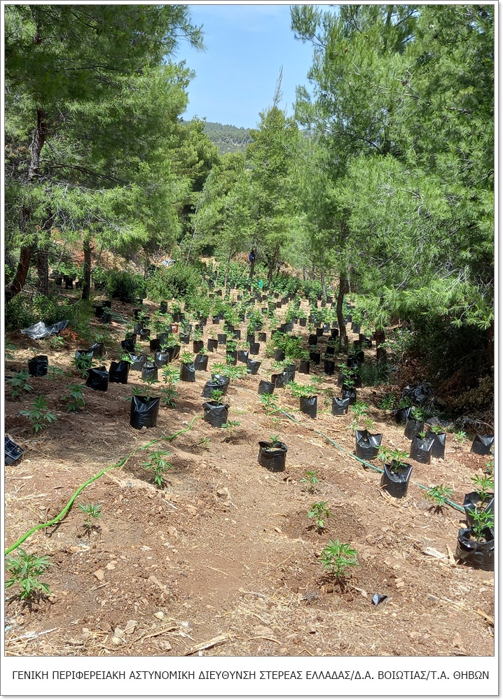 FOTO 3 | Lamianow.gr