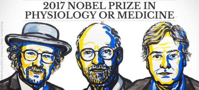 Το Νόμπελ Ιατρικής σε τρεις επιστήμονες από τις ΗΠΑ [εικόνα &amp; βίντεο]