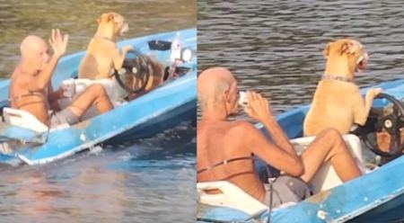 TikTok: Τον γύρο του διαδικτύου κάνει το βίντεο με ένα σκύλο να οδηγεί σκάφος και να κάνει βόλτα τον ιδιοκτήτη του (ΒΙΝΤΕΟ)