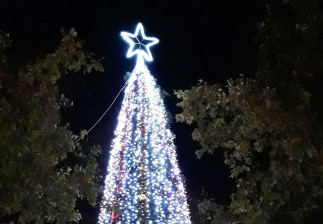 Ανάβουν τα Χριστουγεννιάτικα δέντρα στο Δήμο Λοκρών