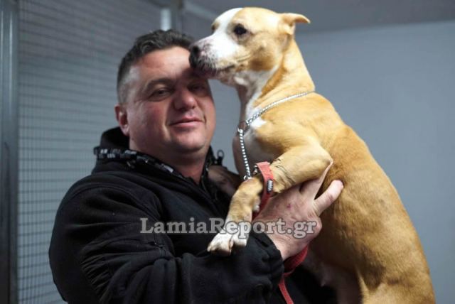Λαμία: Κινδύνεψε να πνιγεί στις πλημμύρες για να σώσει τα σκυλάκια - ΒΙΝΤΕΟ