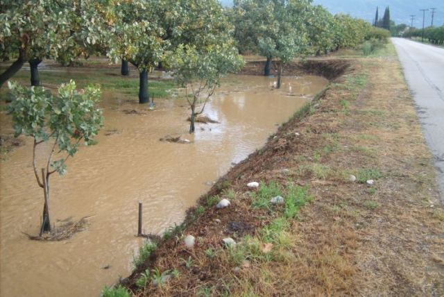 Φθιώτιδα: Ποιος ευθύνεται για τα πλημμυρισμένα κτήματα στη Μάκρη;