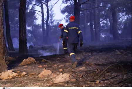 Τέθηκε υπό πλήρη έλεγχο η φωτιά στη Χίο - Στάχτη 600 στρέμματα δάσους