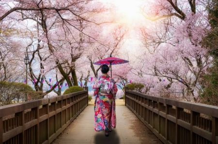 Οταν ανθίζουν οι κερασιές Sakura: Οι 7 ημέρες γιορτής της ιαπωνικής Φύσης που πλημμυρίζει με τουρίστες από όλον τον κόσμο