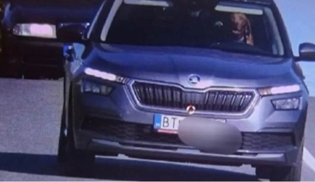 Σκύλος βρέθηκε πίσω από τιμόνι αυτοκινήτου ενώ ήταν εν κινήσει: Ο ιδιοκτήτης του έλαβε πρόστιμο (ΒΙΝΤΕΟ)