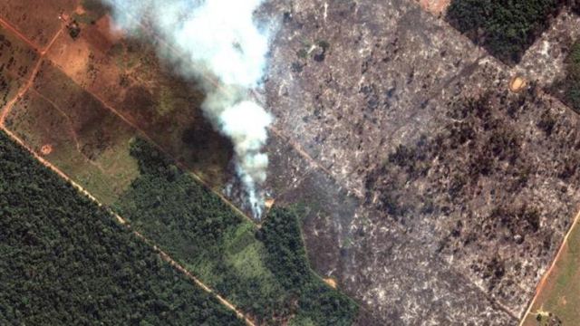 Ο Αμαζόνιος στις φλόγες - Παγκόσμια κραυγή αγωνίας