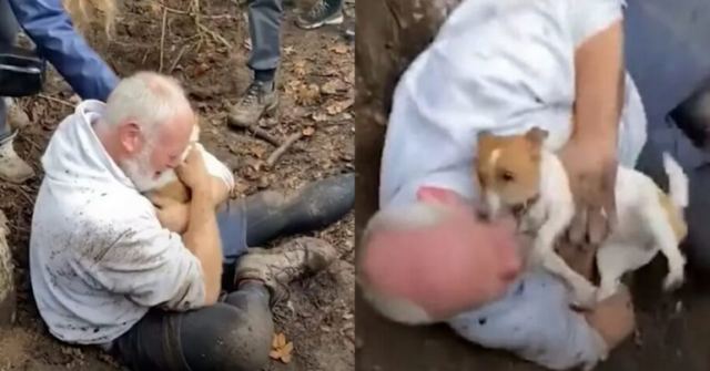 Άντρας βρίσκει το χαμένο του σκυλάκι εγκλωβισμένο σε μια τρύπα και κλαίει από συγκίνηση
