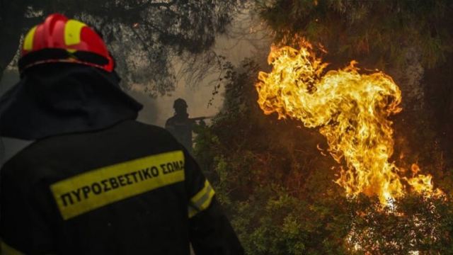 Λάρισα: Υπό μερικό έλεγχο η πυρκαγιά στα Άνω Βούναια