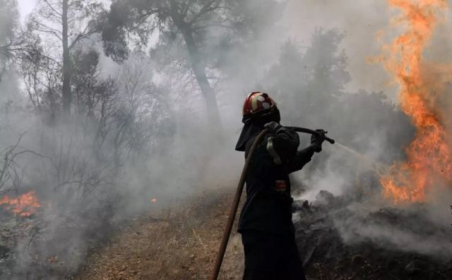 Πυρκαγιά και στον Αλμυρό: Καίγεται δασική έκταση - Δεν κινδυνεύουν κατοικίες προς το παρόν