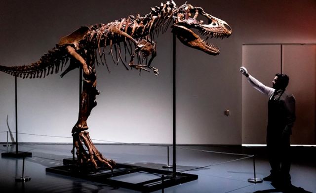 Δημοπρασία έκπληξη για ένα απολίθωμα δεινοσαύρου 76 εκατομμυρίων ετών – Στο «σφυρί» για 5 έως 8 εκατομμύρια δολάρια