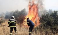 Πυρκαγιά στη Λοκρίδα - Σηκώθηκαν και τα αεροπλάνα