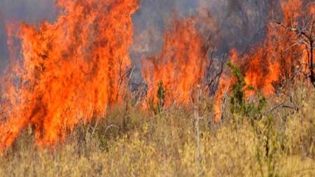 Υπό μερικό έλεγχο η πυρκαγιά στο δάσος του Σκρα