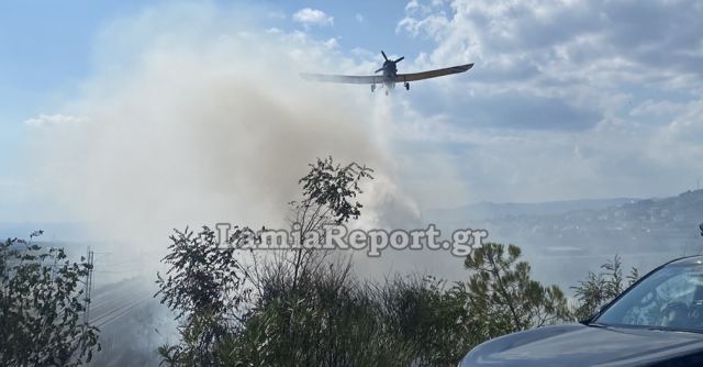 Λαμία: Πυρκαγιά κοντά στα Καλύβια - Σηκώθηκαν τα PZL