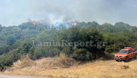 Επικίνδυνη δασική πυρκαγιά στη Μακρακώμη (ΦΩΤΟ)