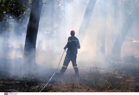 47 δασικές πυρκαγιές το τελευταίο 24ωρο - Οριοθετήθηκαν τα μέτωπα σε Ορεστιάδα και Φλώρινα