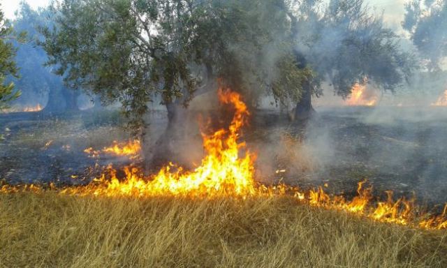 Επείγουσα ανακοίνωση - σύσταση από το Δήμο Στυλίδας για τον κίνδυνο πυρκαγιάς
