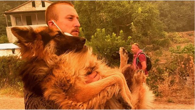 Εύβοια: Viral η φωτογραφία εθελοντή να διασώζει λυκόσκυλο που ο ιδιοκτήτης του είχε αφήσει δεμένο να καεί