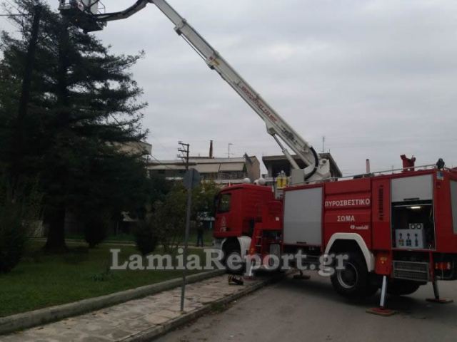 Επιχείρηση «επικίνδυνα δέντρα» στα Καλύβια