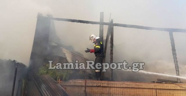 Οι φλόγες κατέστρεψαν στάβλο στην Αταλάντη - Δείτε εικόνες