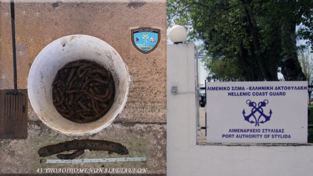 Φθιώτιδα: Σύλληψη ερασιτέχνη αλιέα για ολοθούρια