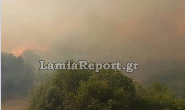 Νέα μεγάλη πυρκαγιά στην Ανατολική Φθιώτιδα - ΦΩΤΟ
